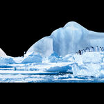 北极冰山企鹅
