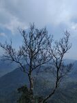 高山