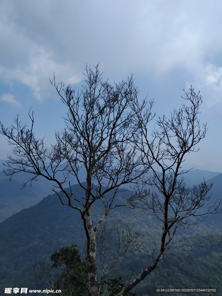 高山