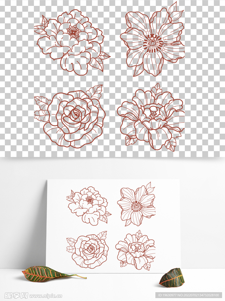 玫瑰花花朵插画