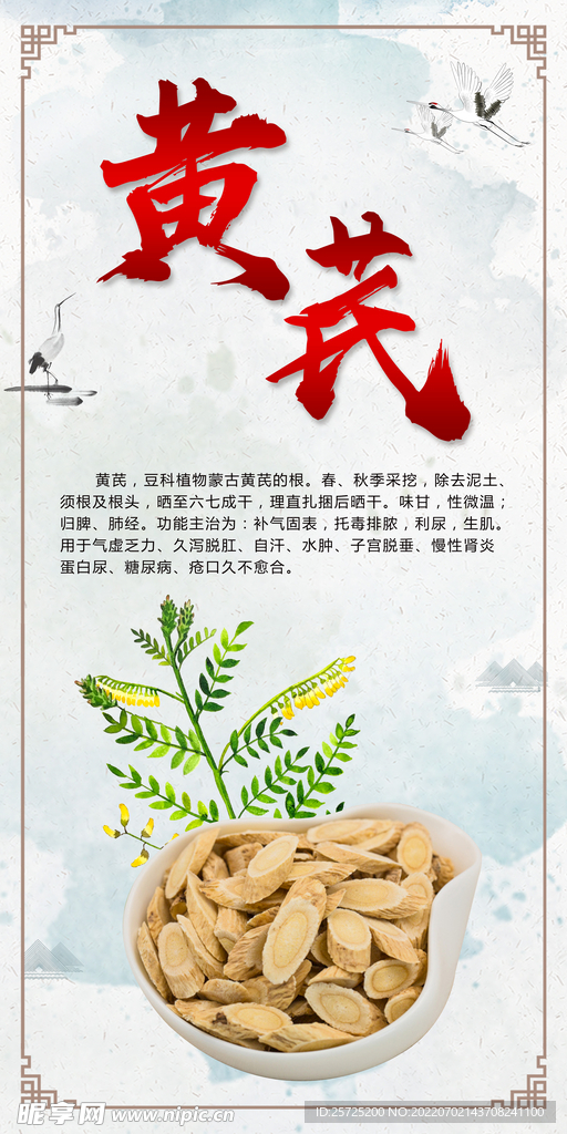 黄芪