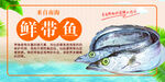 南海鲜带鱼