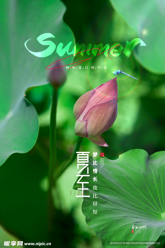 简约传统24节气夏至海报夏至节