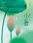 小清新小暑节气海报