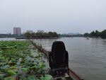 大明湖