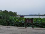 大明湖