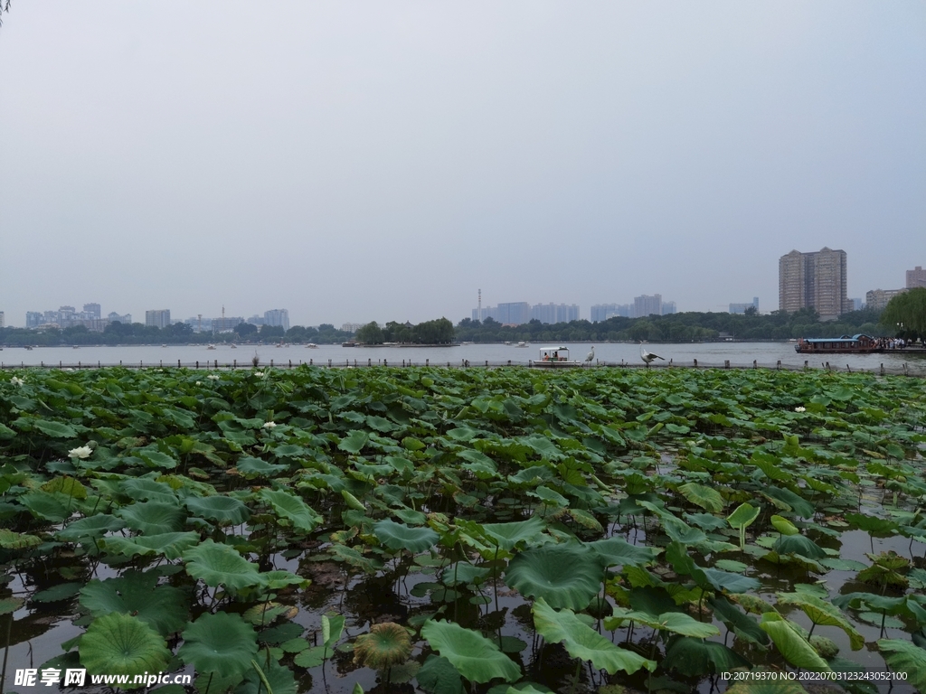 大明湖