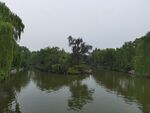大明湖