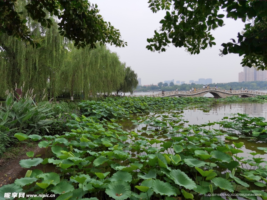 大明湖