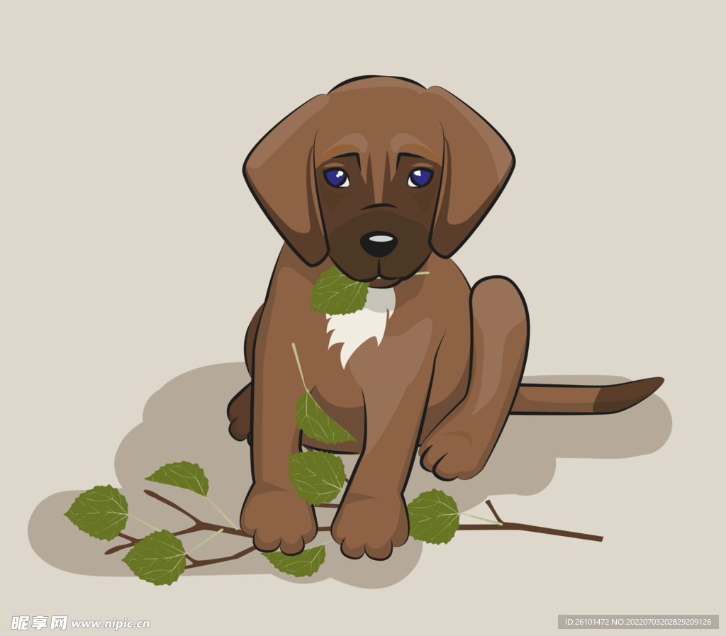 狗