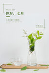 你好七月