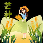 芒种             