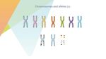 细胞生物学和组织学