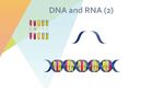 细胞生物学和组织学