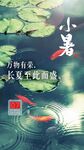 二十四节气小暑海报