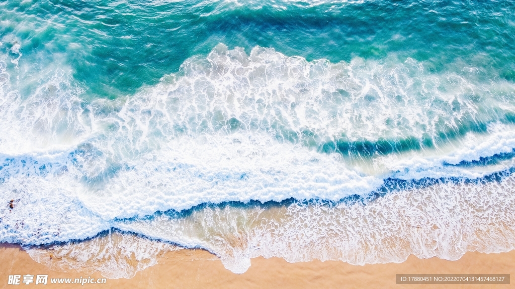 大海