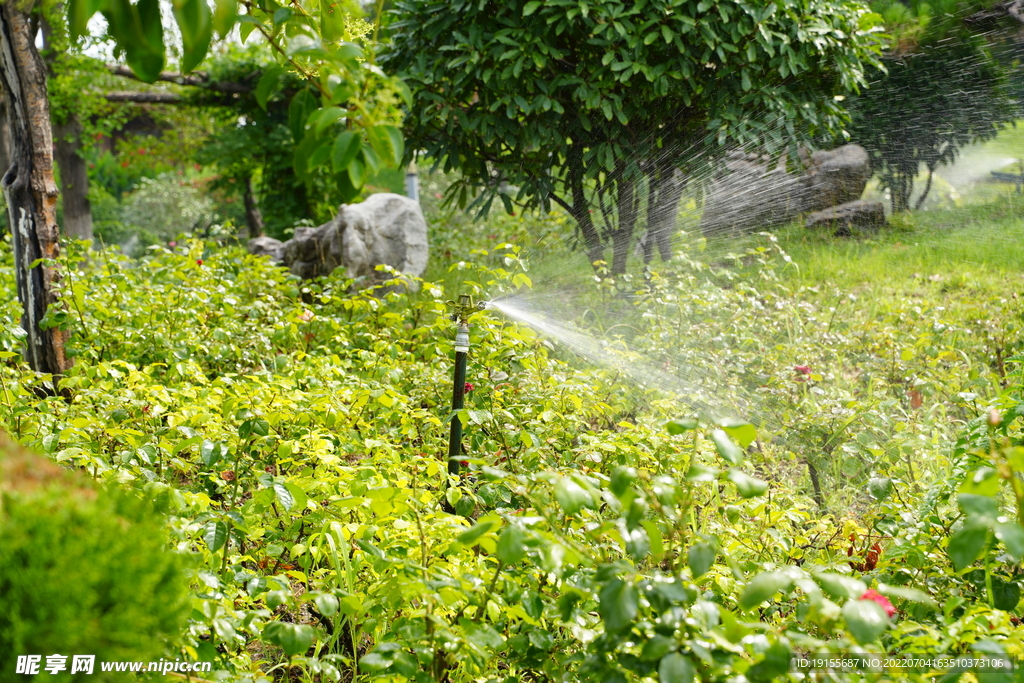 喷水灌溉