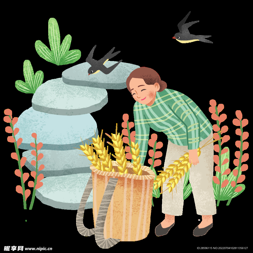 芒种插画           