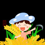 芒种             