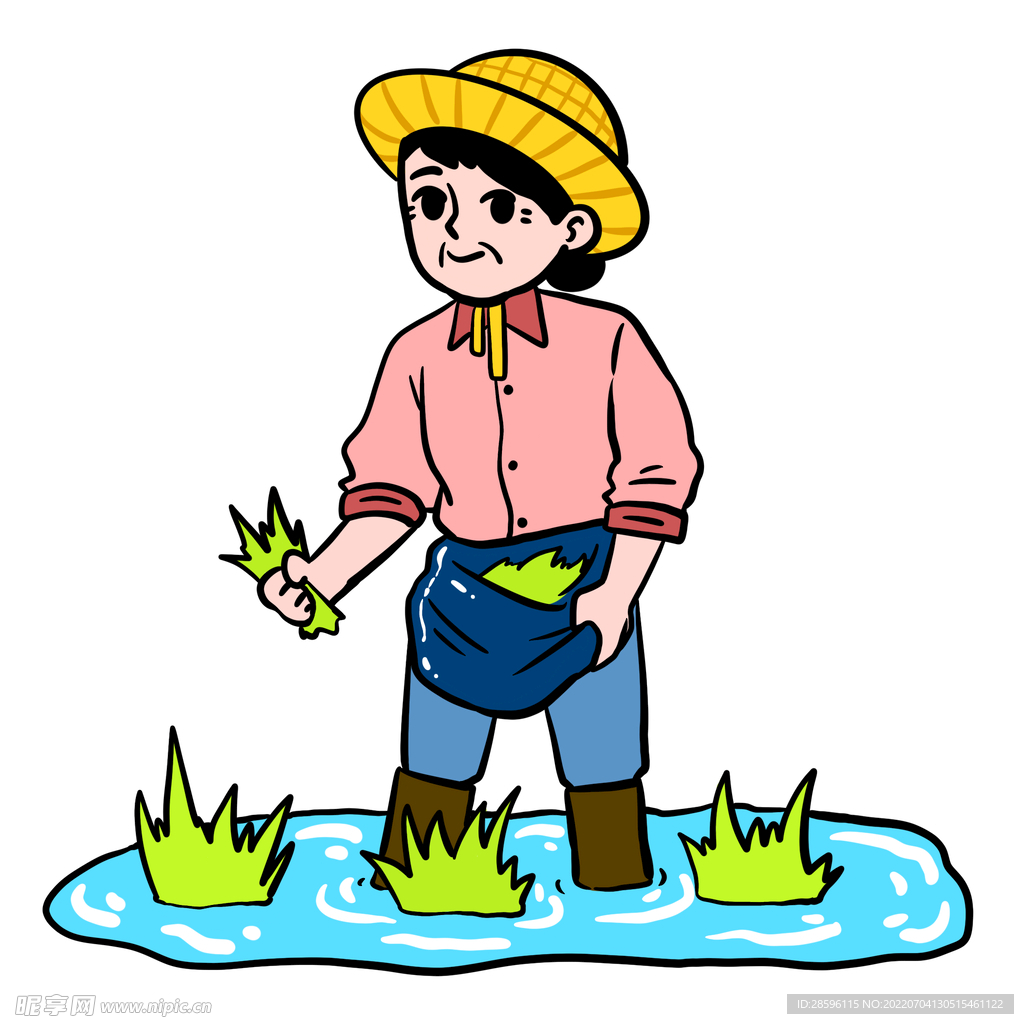 芒种             