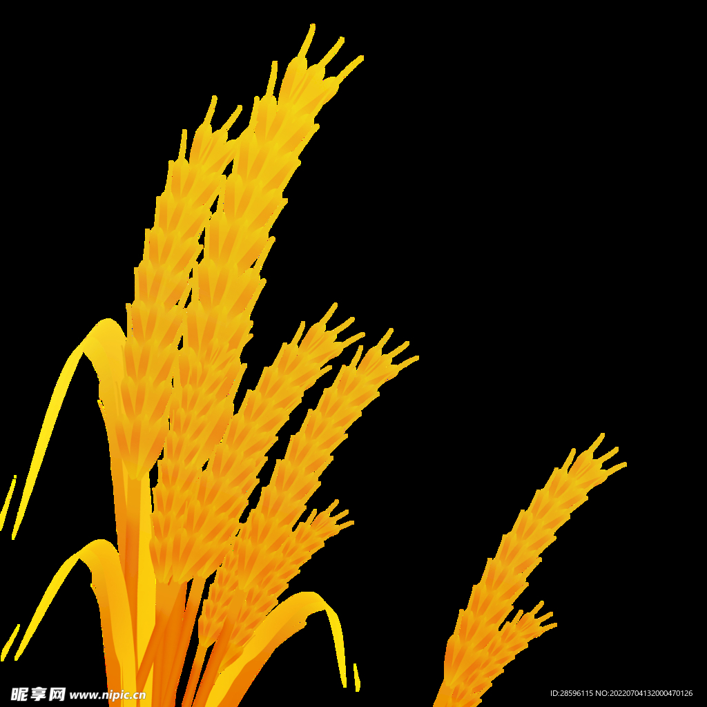 芒种插画           