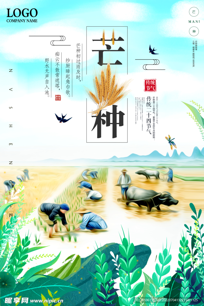 芒种             