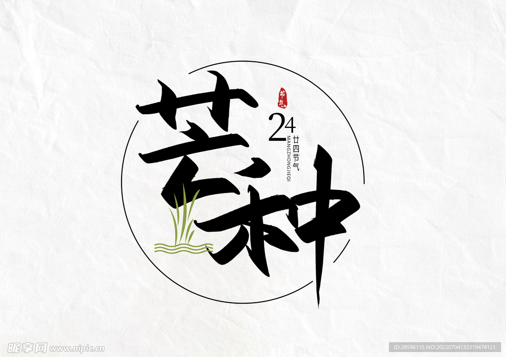 芒种             