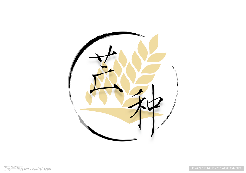 芒种             