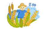 芒种             