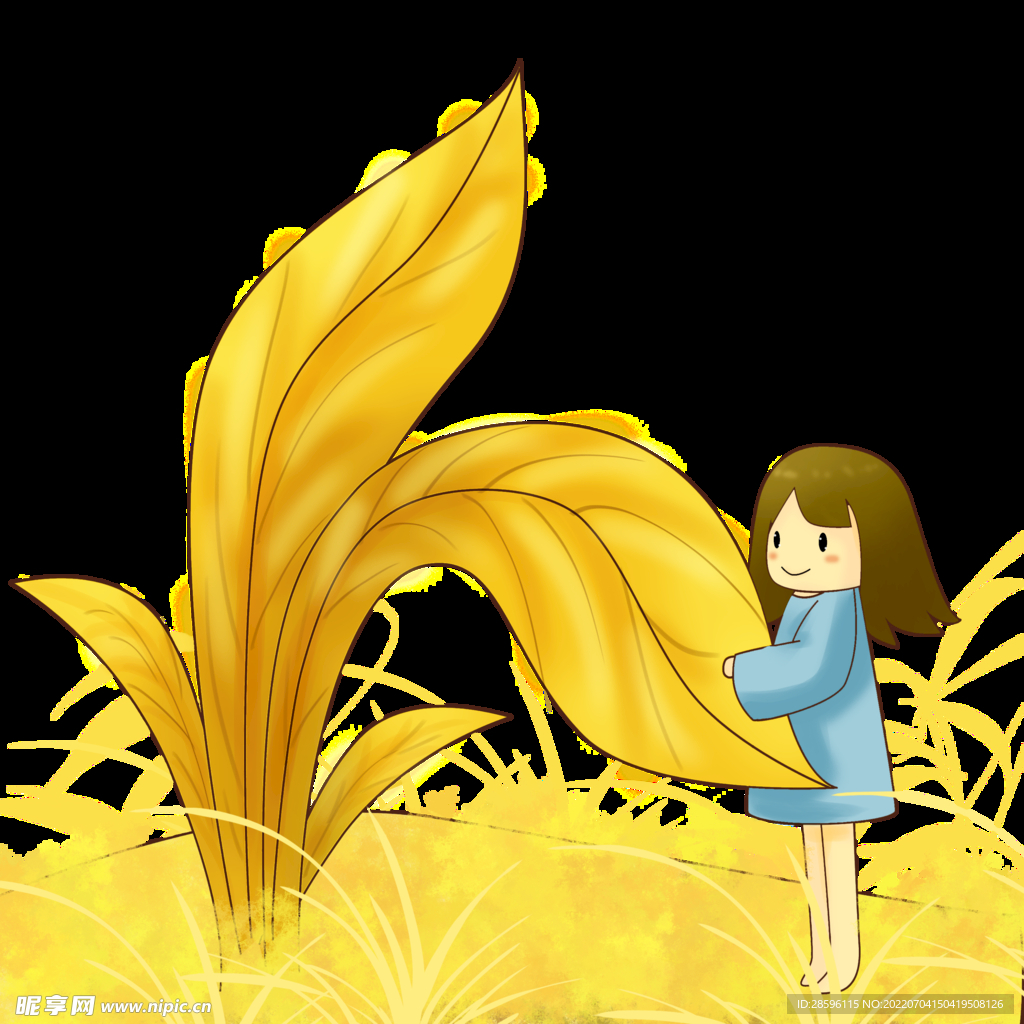 芒种             