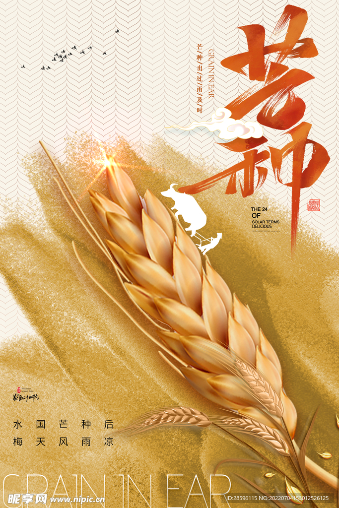 芒种             