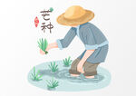 芒种             