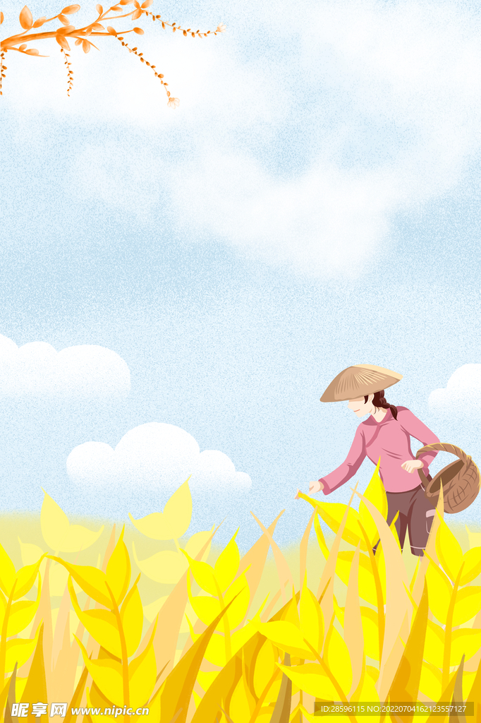 芒种             