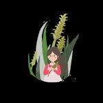 芒种             