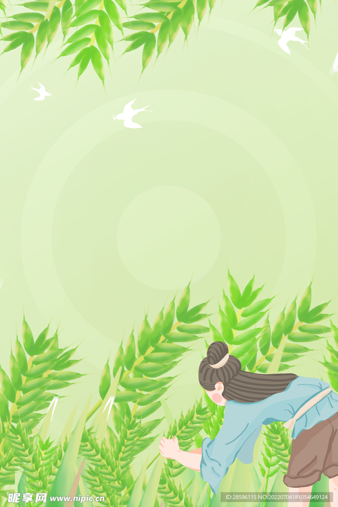 芒种             