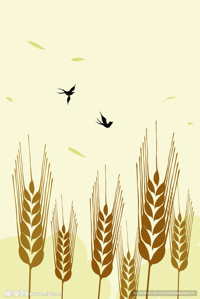 芒种插画           