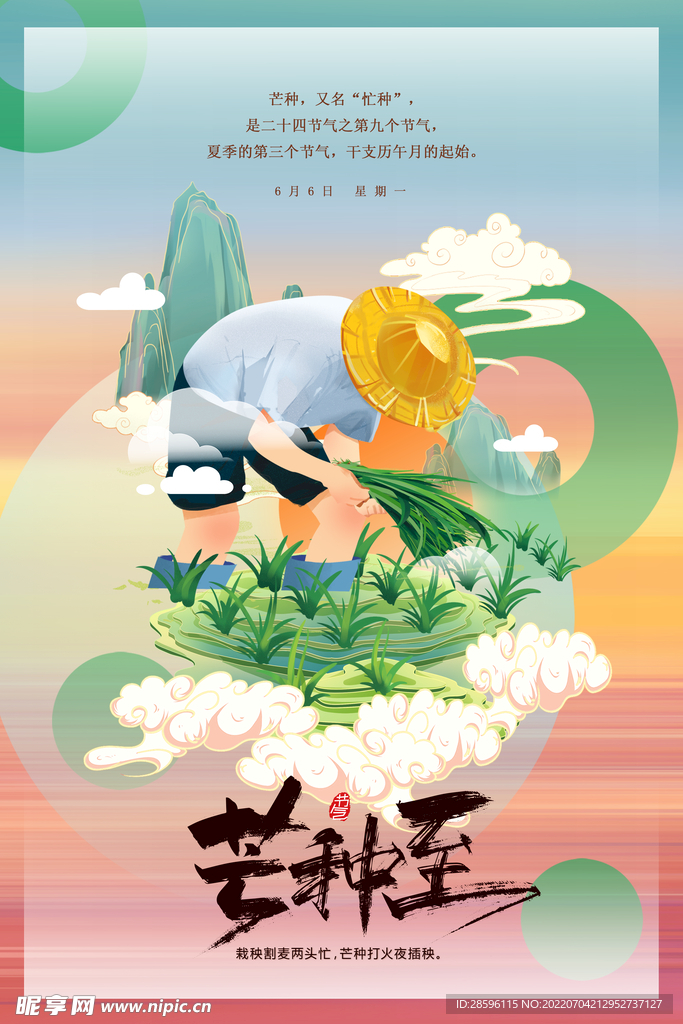 芒种             