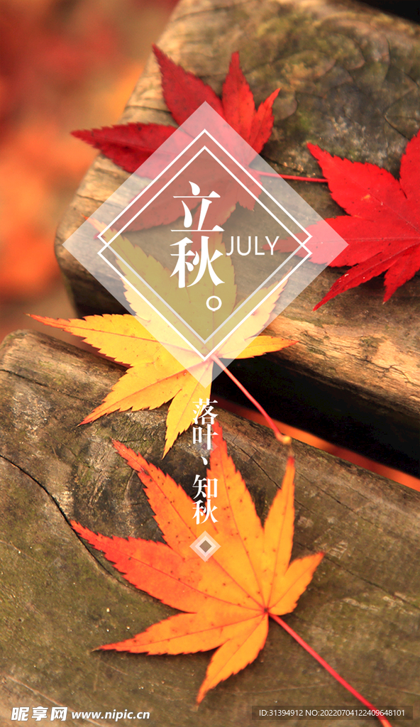 立秋
