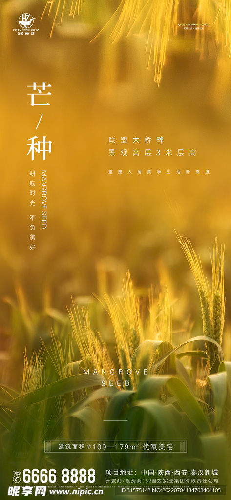 芒种
