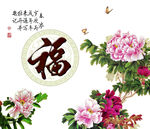 富贵牡丹