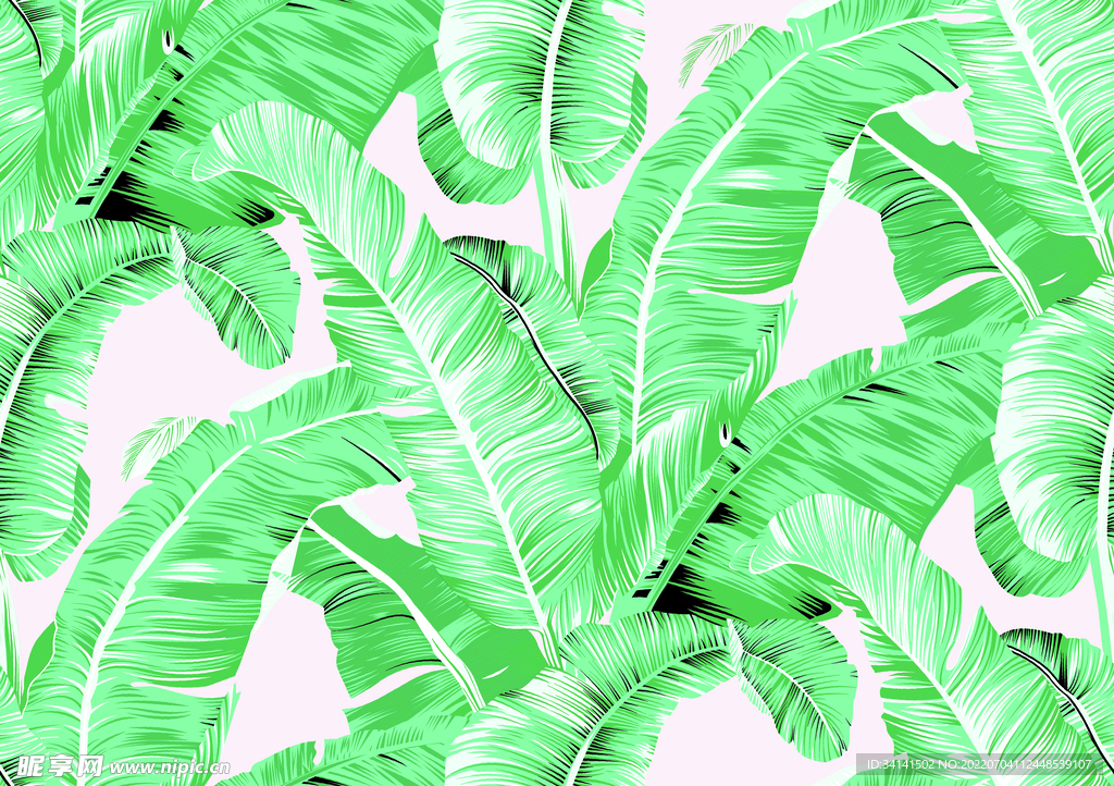 热带