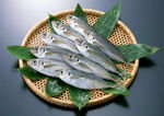 新鲜海产鱼      