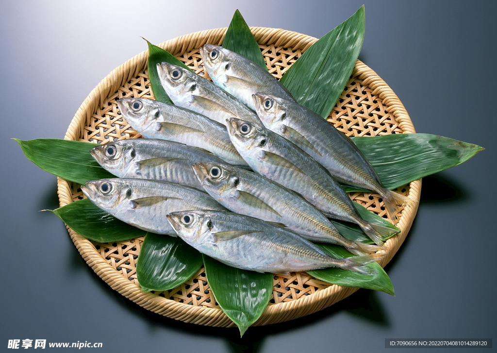新鲜海产鱼      
