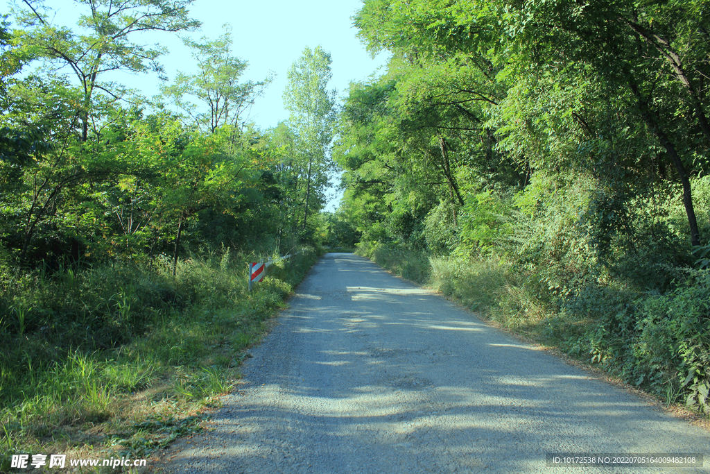 通往山里的道路