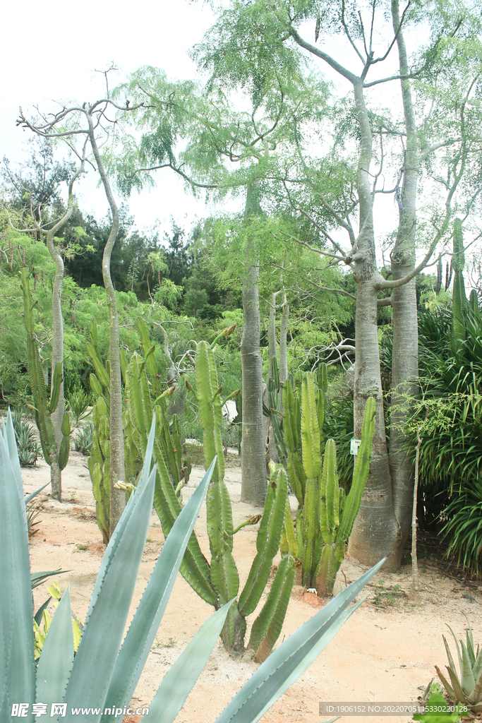 植物园