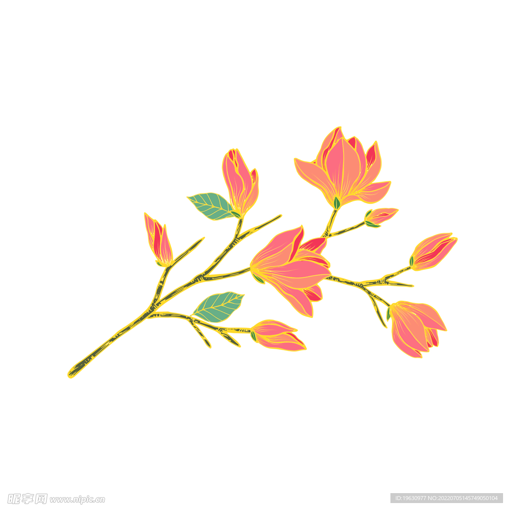 国潮杜鹃花