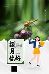  八月你好 