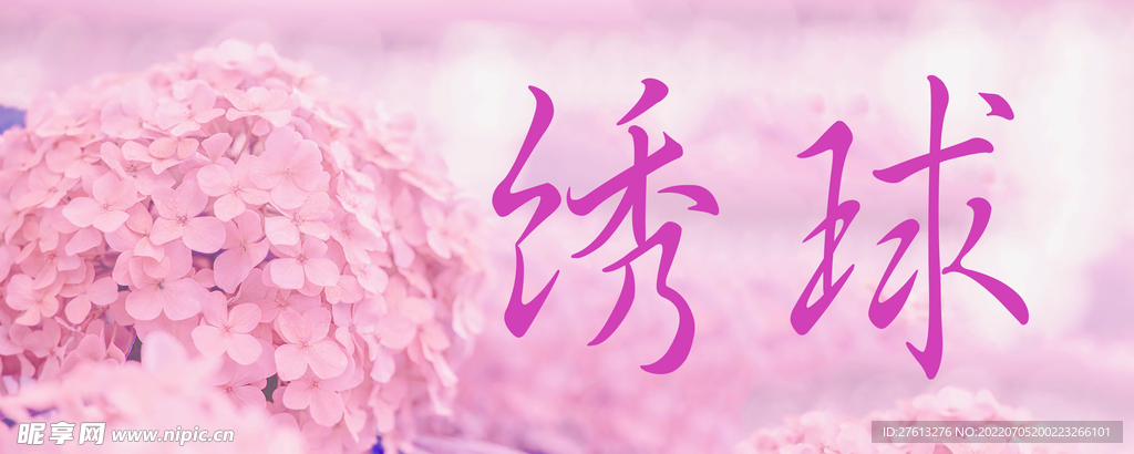 绣球花门牌