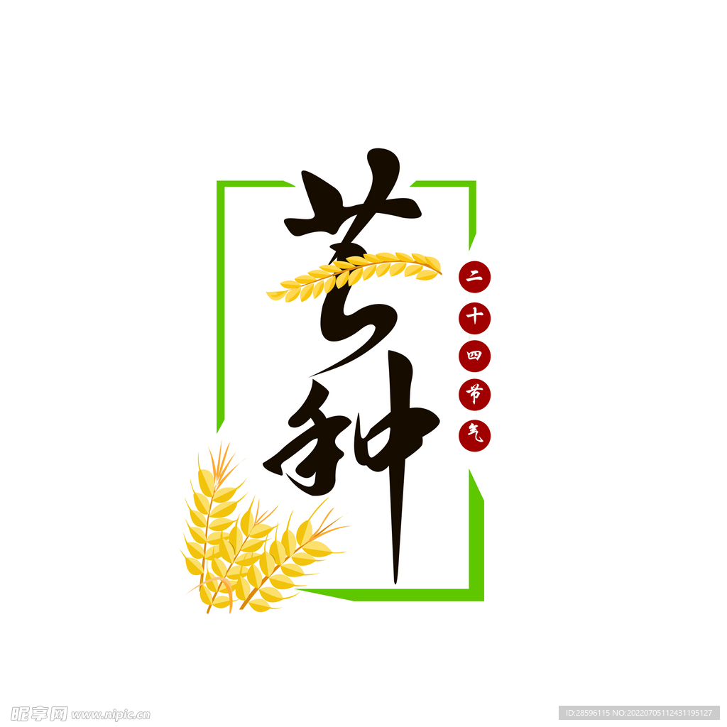 芒种插画           