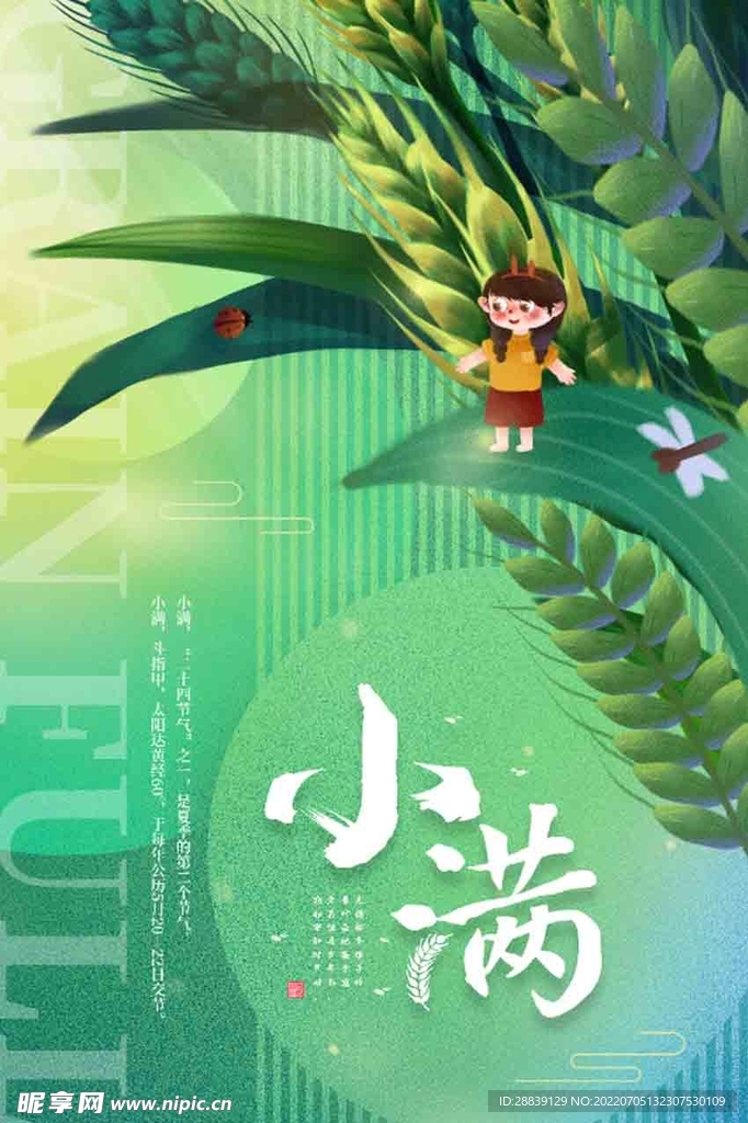  小满 